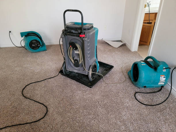 Best Ceiling water damage repair  in Frankfort Square, IL
