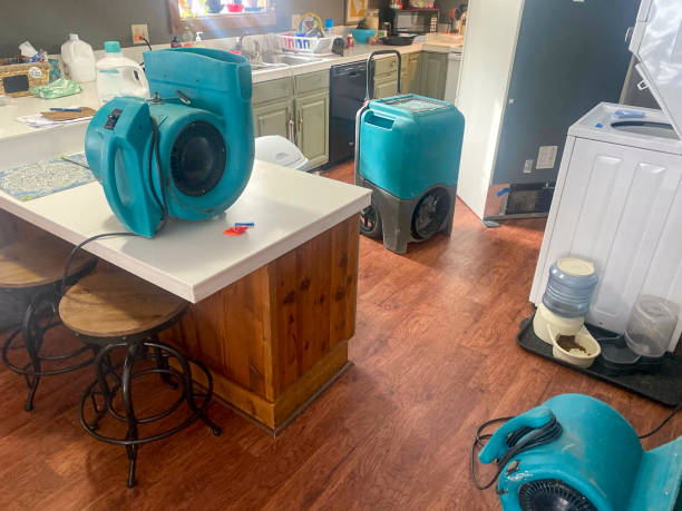 Best Flood damage cleanup  in Frankfort Square, IL