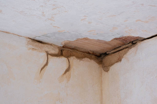 Best Water damage restoration insurance claims  in Frankfort Square, IL