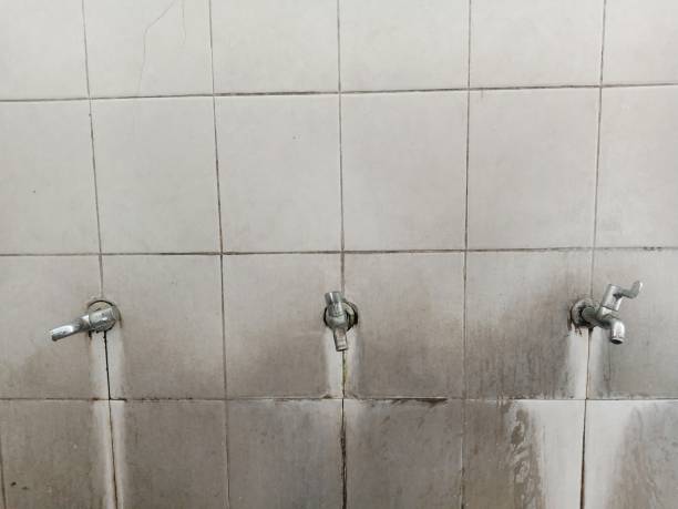 Best Professional water damage repair  in Frankfort Square, IL